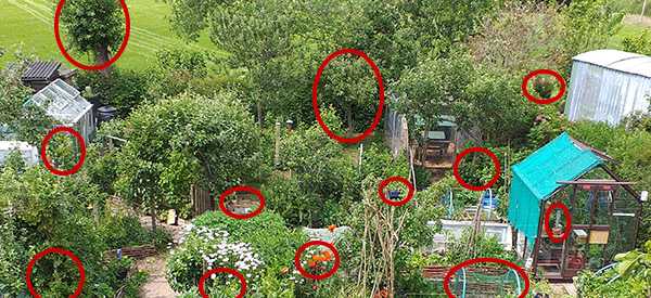 How To Grow A Food Garden Completely Hidden In Plain Sight