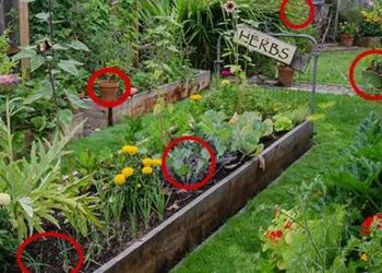 20 Must Have Seeds For The Upcoming Crisis