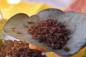 Stone Age Foods Every Prepper Should Try