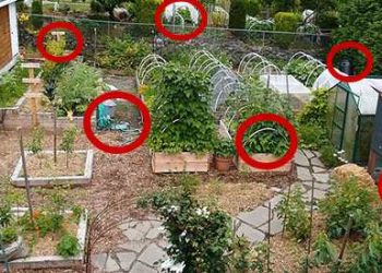 7 DIY Prepper Projects You Can Make This Spring