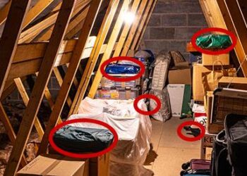 7 Things You Should Never Store In The Attic