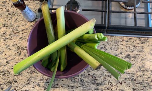 Jar of Cattails