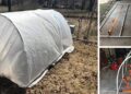 How To Make A Small Hoop House This Spring