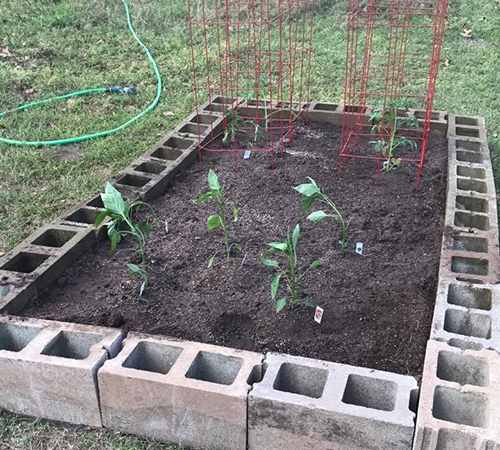 How To Make A Small Hoop House This Spring 