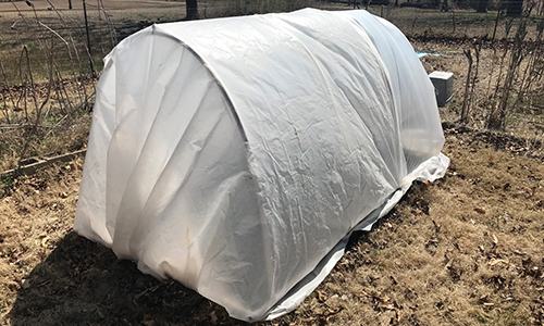 How To Make A Small Hoop House This Spring 