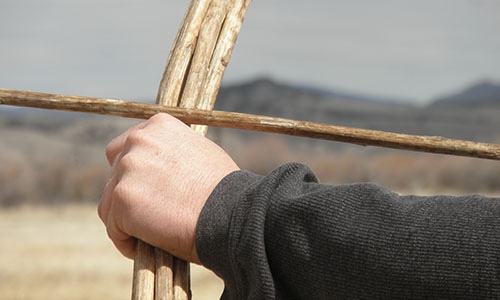 50+ Survival Uses For Cattails