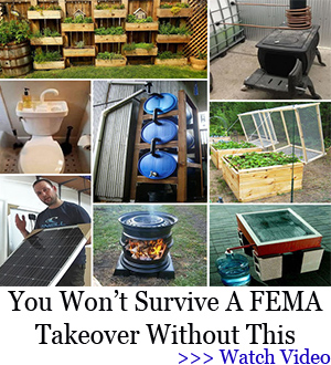 You Won't Survive A FEMA Takeover Without This
