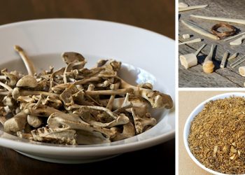 Survival Uses For Animal Bones You Normally Throw Away