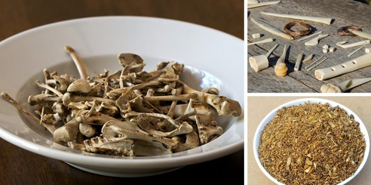 Survival Uses For Animal Bones You Normally Throw Away