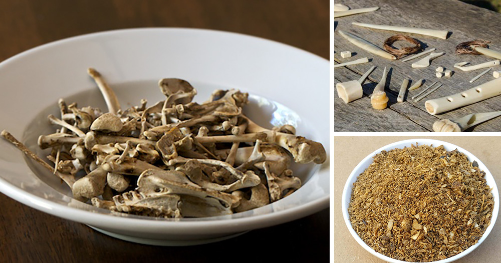 Survival Uses For Animal Bones You Normally Throw Away - Ask a Prepper Survival Uses For Animal Bones You Normally Throw Away - Ask a Prepper
