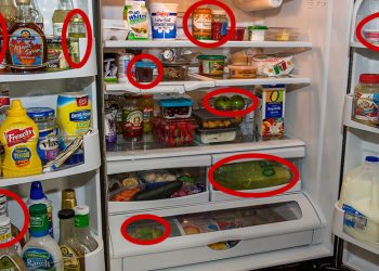23 Things You Should Never Store In A Refrigerator