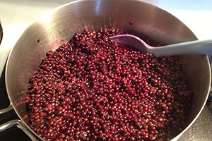 Elderberry