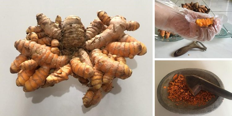 How To Make Turmeric Powder For Treating Inflammation When SHTF