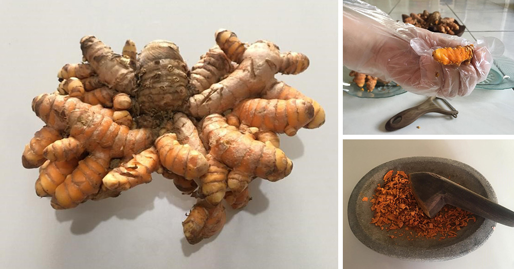 How To Make Turmeric Powder For Treating Inflammation When SHTF Ask a