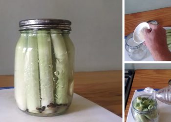 How To Pickle Cattails For Long-Term Preservation