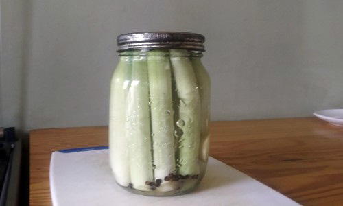 How To Pickle Cattails For Long-Term Preservation 