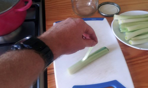 How To Pickle Cattails For Long-Term Preservation 