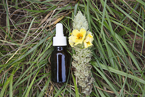 Mullein oil