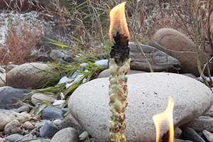 Mullein Torch