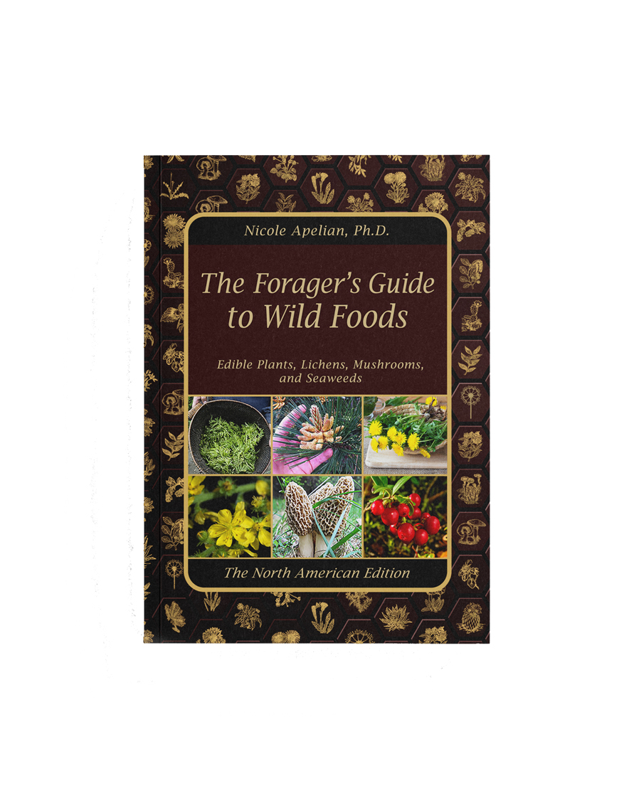 The Foragers
