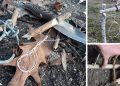 8 Trap Hacks That Every Prepper Should Know