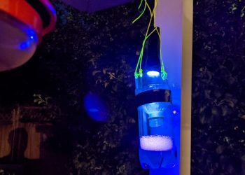Easy DIY Light Trap For Insect Pests