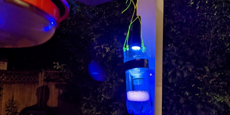 Easy DIY Light Trap For Insect Pests
