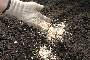 What You Should Do With Your Eggshells