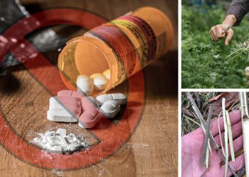 5 Natural Painkillers To Use Instead Of Opiates