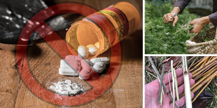 5 Natural Painkillers To Use Instead Of Opiates