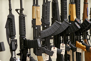 Best Do-It-All Guns for Preppers