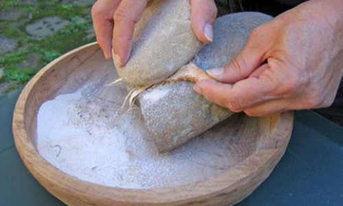 How To Grind Cattails And Make Bread
