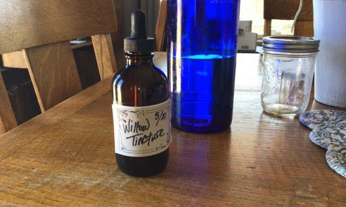 How to Make A Willow Tincture