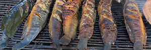 The Native American Foods That Cherokee Ate During Hard Times