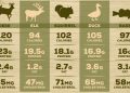 The Survival Wild Game Nutritional Guide