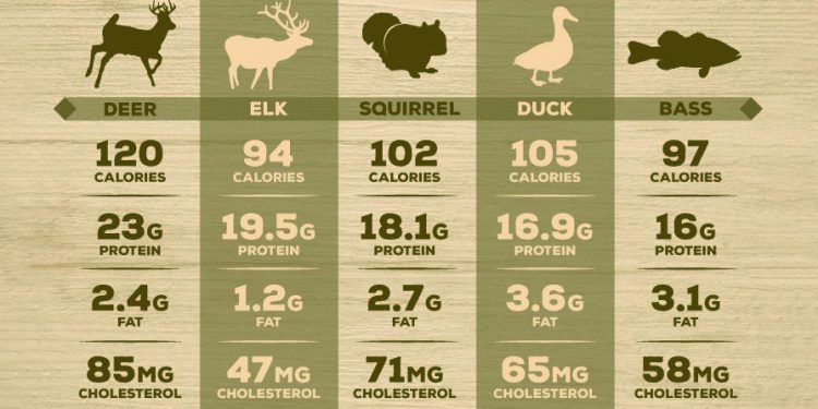 Hunting-General Info The-Survival-Wild-Game-Nutritional-Guide-0-1-750x375