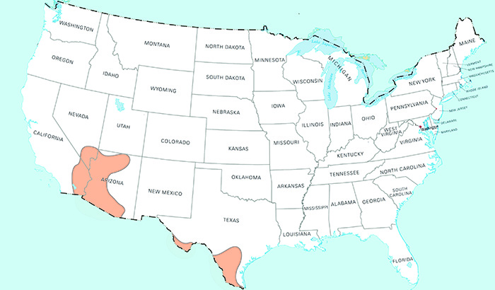 Extreme Summer Heat Map