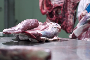 11 Meat Processing Mistakes You Are Probably Making Right Now