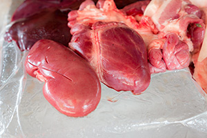 Keeping Usable Organs