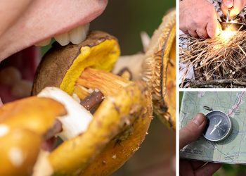 5 Survival Myths That Can Actually Get You Killed