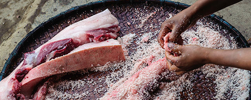 Food Preservation