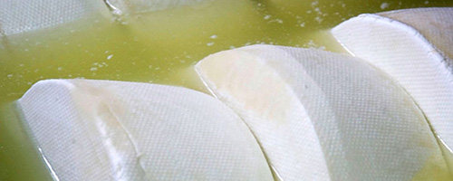 Preventing Mold on Cheese
