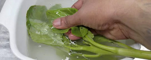 Wash Dirty Greens
