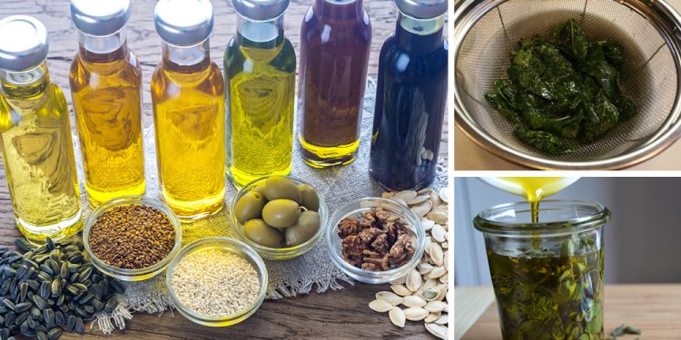 14 Plants You Can Turn Into Oil