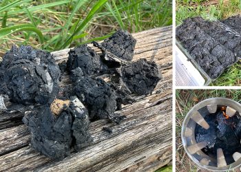 DIY Charcoal Briquettes Every Prepper Should Have In Case Of An Emergency