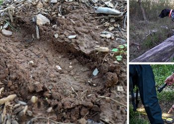 How To Track Someone In The Wild