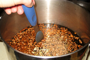The Wild Superfood You Didn’t Know About [All Parts Are Edible]