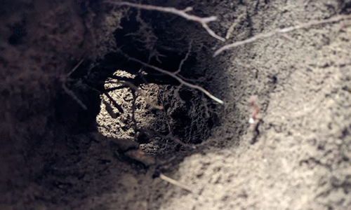 How To Dig A Native American Dakota Fire Hole