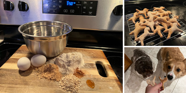 DIY Dog Treats that Last a Long Time