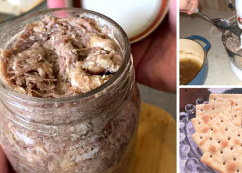How To Make A Long Lasting Pork Rillette (With Pictures) (5)